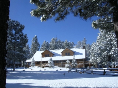 Bulk Sale Auction Of 9 Premium Mountain Cabin Lots Greer, Az - image 6