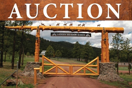 Bulk Sale Auction Of 9 Premium Mountain Cabin Lots Greer, Az - image 19