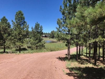 Bulk Sale Auction Of 9 Premium Mountain Cabin Lots Greer, Az - image 15