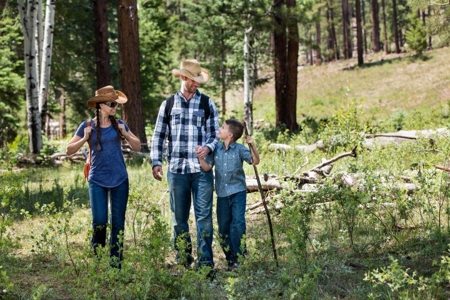 Bulk Sale Auction Of 9 Premium Mountain Cabin Lots Greer, Az - image 3