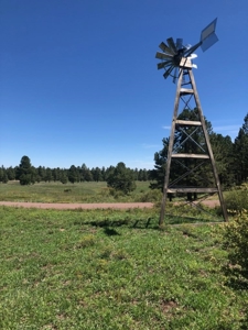 Bulk Sale Auction Of 9 Premium Mountain Cabin Lots Greer, Az - image 20
