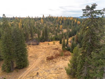 Idaho Rural Residential Acreage For Sale - image 9