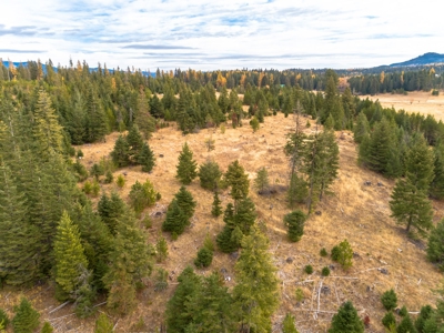Idaho Rural Residential Acreage For Sale - image 10