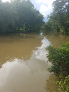 Own a dam on the LIttle River, Alexander Co. NC!!! - image 2