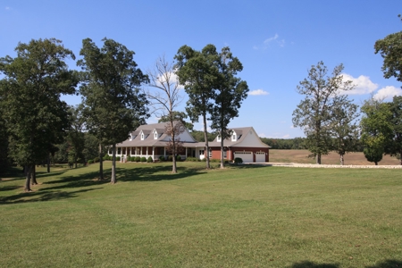 Southeast Mo Farm For Sale  80 Acres Home And Land - image 1