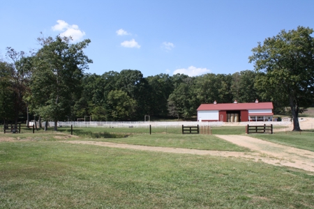 Southeast Mo Farm For Sale  80 Acres Home And Land - image 14