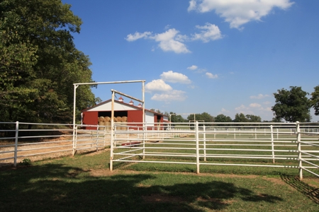 Southeast Mo Farm For Sale  80 Acres Home And Land - image 18