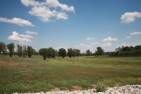 Southeast Mo Farm For Sale  80 Acres Home And Land - image 21