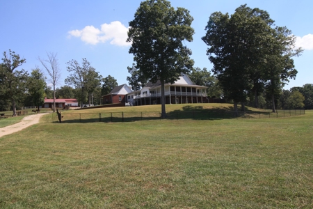 Southeast Mo Farm For Sale  80 Acres Home And Land - image 15