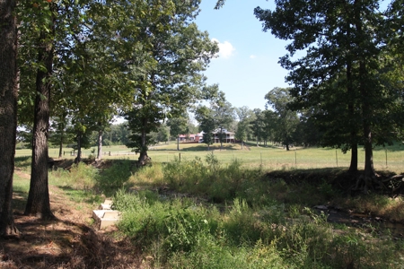 Southeast Mo Farm For Sale  80 Acres Home And Land - image 19