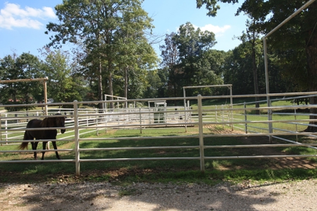 Southeast Mo Farm For Sale  80 Acres Home And Land - image 16