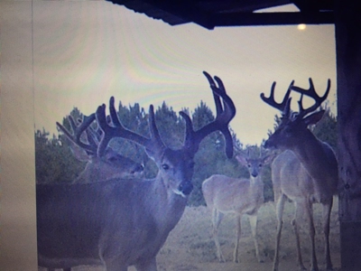 World Class Mississippi Hunting Property SW MS - image 46
