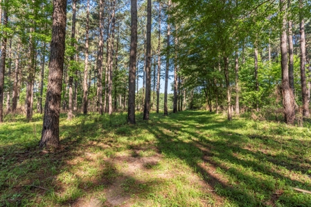 World Class Mississippi Hunting Property SW MS - image 30