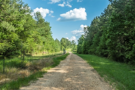 World Class Mississippi Hunting Property SW MS - image 36
