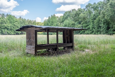 World Class Mississippi Hunting Property SW MS - image 34