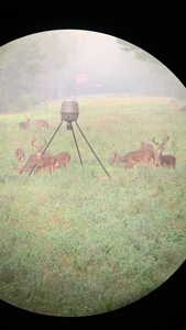 World Class Mississippi Hunting Property SW MS - image 47