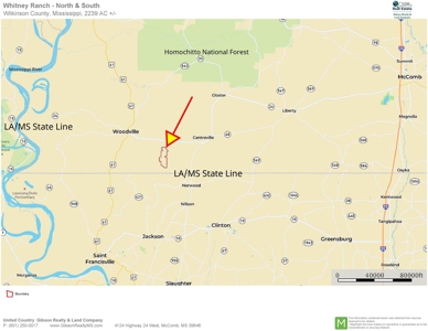 World Class Mississippi Hunting Property SW MS - image 2
