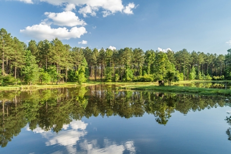 World Class Mississippi Hunting Property SW MS - image 38