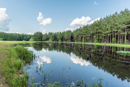 World Class Mississippi Hunting Property SW MS - image 28