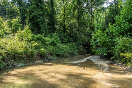 World Class Mississippi Hunting Property SW MS - image 37