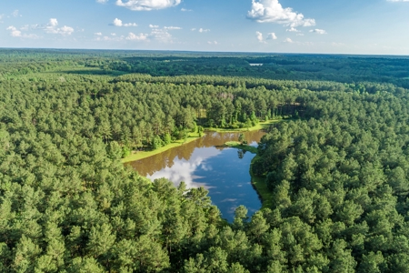 World Class Mississippi Hunting Property SW MS - image 39
