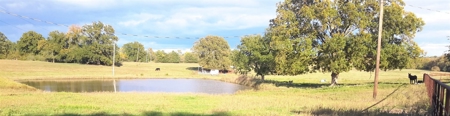 Country Home Land Property For Sale Paris Texas - image 1