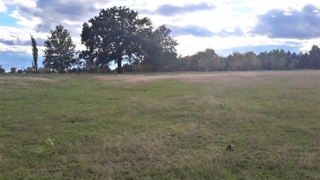 Country Home Land Property For Sale Paris Texas - image 22