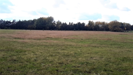 Country Home Land Property For Sale Paris Texas - image 2