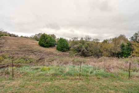 Culleoka, Tennessee Maury County Country Home with Acreage - image 24