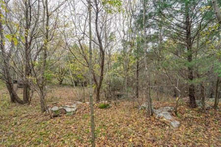 Culleoka, Tennessee Maury County Country Home with Acreage - image 25