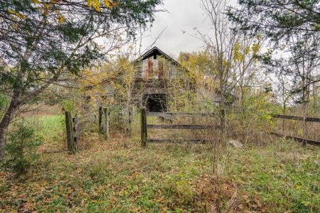 Culleoka, Tennessee Maury County Country Home with Acreage - image 22