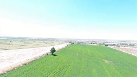 Farm for sale in New Mexico with BLM  Grazing Allotment - image 2