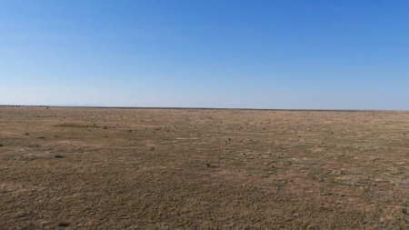 Farm for sale in New Mexico with BLM  Grazing Allotment - image 45