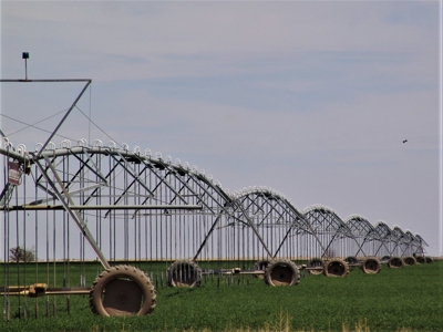 Farm for sale in New Mexico with BLM  Grazing Allotment - image 1