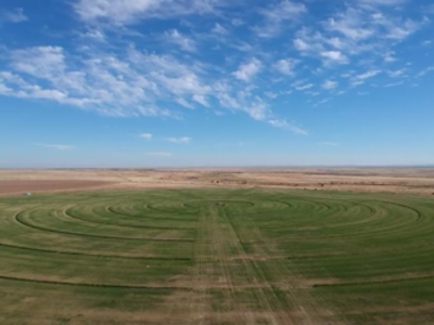 Farm for sale in New Mexico with BLM  Grazing Allotment - image 28