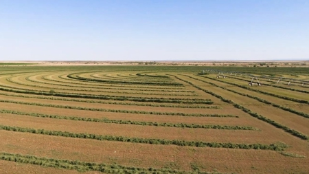 Farm for sale in New Mexico with BLM  Grazing Allotment - image 40