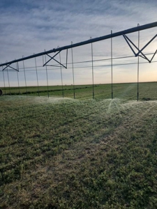 Farm for sale in New Mexico with BLM  Grazing Allotment - image 19