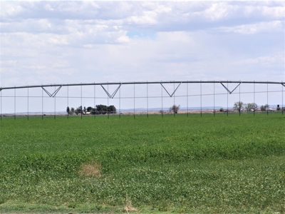 Farm for sale in New Mexico with BLM  Grazing Allotment - image 5