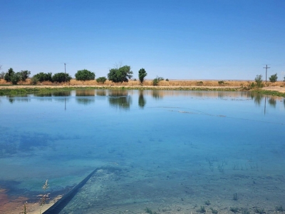 Farm for sale in New Mexico with BLM  Grazing Allotment - image 30