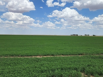 Farm for sale in New Mexico with BLM  Grazing Allotment - image 29