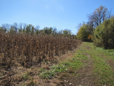 Northern Mo Land For Sale, Pasture, Hay Ground, Nw Mo Hunt - image 10