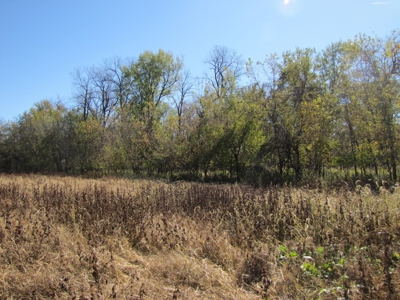 Northern Mo Land For Sale, Pasture, Hay Ground, Nw Mo Hunt - image 9