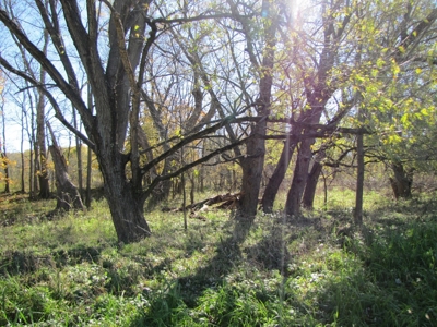 Northern Mo Land For Sale, Pasture, Hay Ground, Nw Mo Hunt - image 1