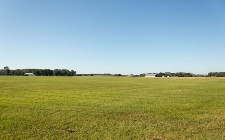 43 acre producing hay field in Coastal Bermuda grass! - image 4