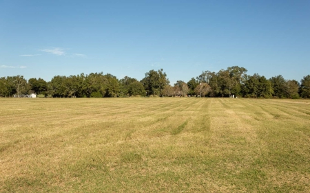 43 acre producing hay field in Coastal Bermuda grass! - image 9