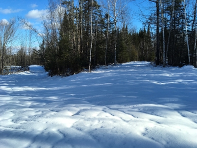 Forest Land For Sale in Garland Maine - image 4