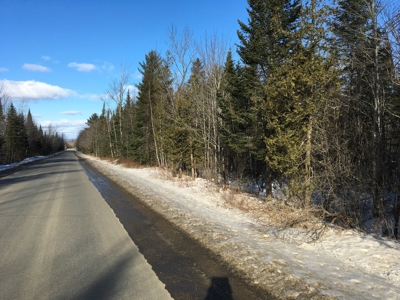 Forest Land For Sale in Garland Maine - image 3