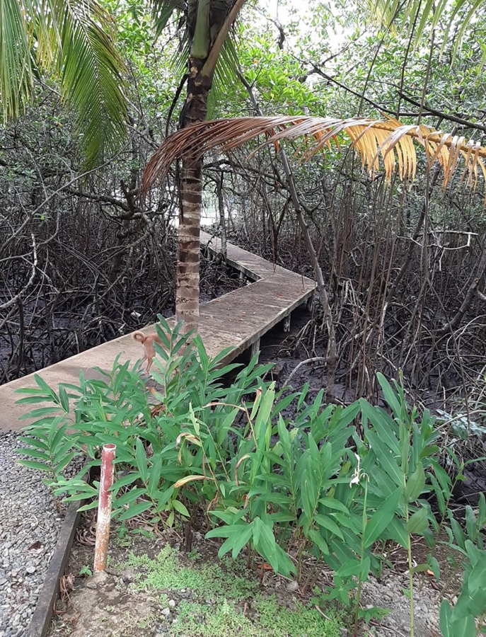 Waterfront Home, Dock + Community Pool — Discovery Bay, Isla Solarte - 27