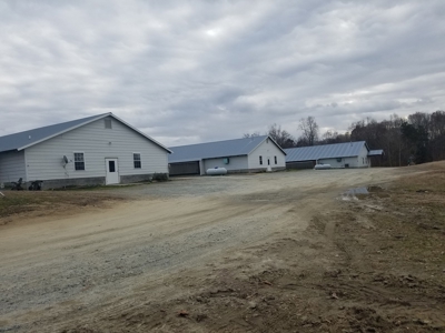 Mebane NC poutry farm - Caswell Co. Layer farm - image 5