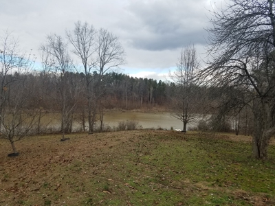 Mebane NC poutry farm - Caswell Co. Layer farm - image 16